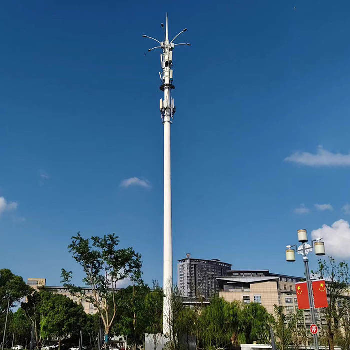 Gepersonaliseerde 30 m hoog gegalvaniseerd staal telecommunicatie palen met antennes