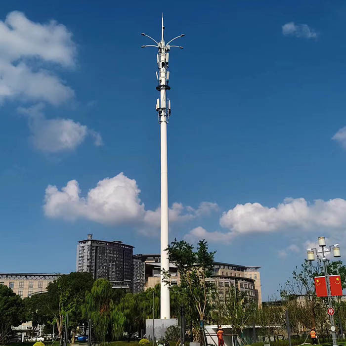 Gepersonaliseerde gegalvaniseerde telecommonopolen met platformen of antennes