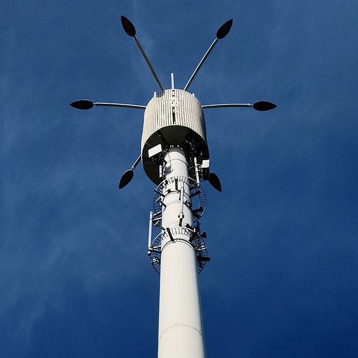 Gepersonaliseerde gegalvaniseerde telecommonopolen met platformen of antennes