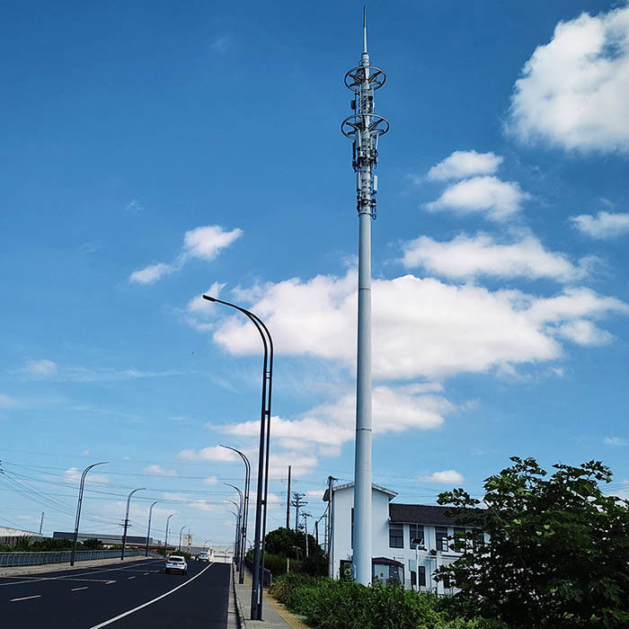 Telecommunicatiepost met ladder en platform voor hoogsterke laaggelegeerde structuurplaten