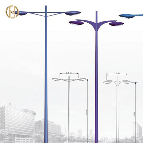De professionele fabrikant 3M 4M 5M 6M 7M 8M 9M 10m galvaniseerde straatlantaarnpool